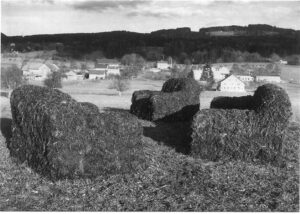 Polstergruppe aus Kuhmist - Installation Beat Huber 1989