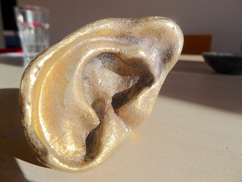 Rolled Over Ear Bronze